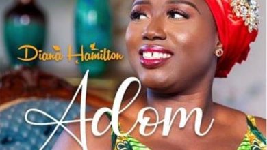 Diana Hamilton - Adom (Grace)