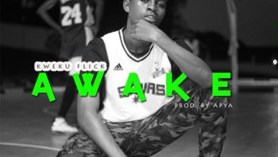 Kweku Flick - Awake (Prod by Apya)