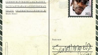 Mr Eazi - Something Else EP