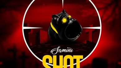 Samini-Shot-Pointed-Shatta-Wale-Diss-768x768