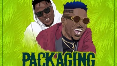 Shatta Wale ft. Medikal - Packaging Acapella