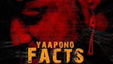 Yaa Pono – Facts (Shatta Wale, Sarkodie Diss)-810x851