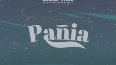 Shatta Wale - Panai