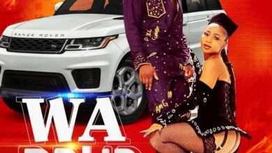 Akuapem Poloo - Wa Boka Ft AMG Armani