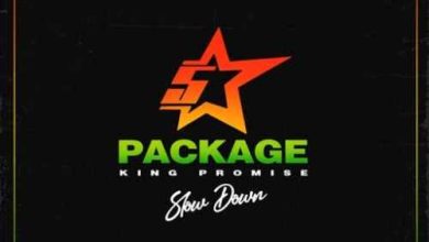 King Promise - Slow Down Remix ft Maleek Berry