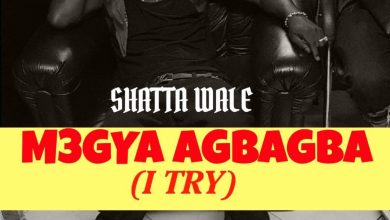 Shatta Wale - M3gya Agbagba (I Try)