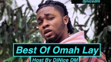 DjNice DM - Best Of Omah Lay Mix