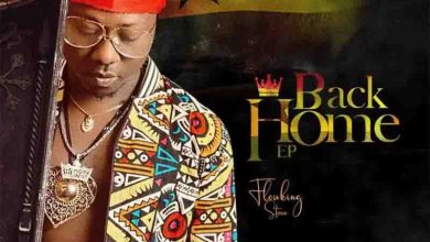 Flowking Stone, Back Home EP,