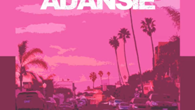 Shatta Wale - Adansie (Testimony)