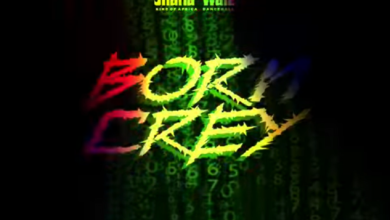 Shatta Wale - Born Crey