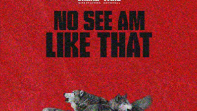 Shatta Wale - No See Am Like That