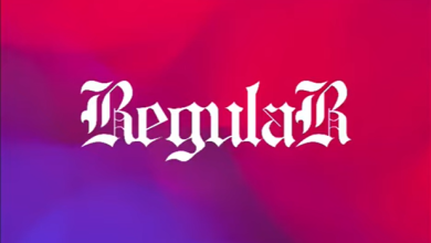 Shatta Wale - Regular
