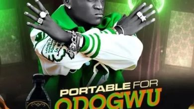 Portable - Odogwu Bitters