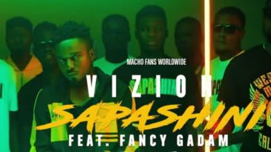 Vizion - Sapashini Ft Fancy Gadam