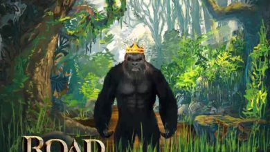 Kwaku DMC - Road To The Jungle