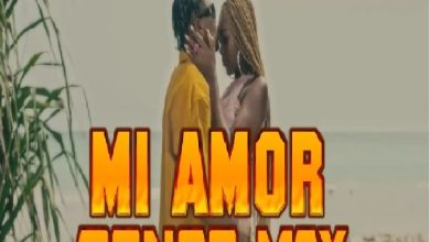 DJ Lyta Mi Amor Bongo Mix 2022 jpg