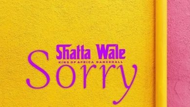 Shatta Wale Sorry Oneclickghana com mp3 image