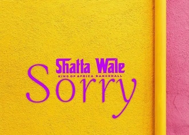 Shatta Wale Sorry Oneclickghana com mp3 image