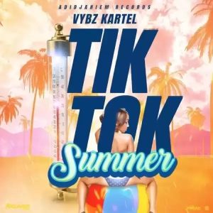 Vybz Kartel Tik Tok Summer mp3 image