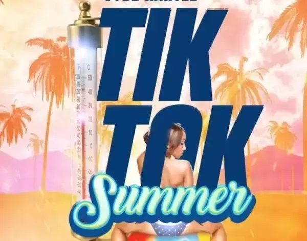 Vybz Kartel Tik Tok Summer mp3 image