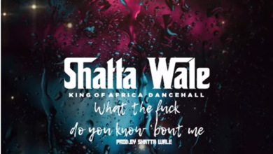 Shatta Wale - What The Fvck Do You Know Bout Me
