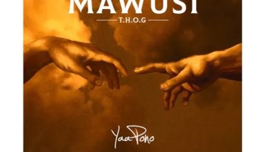 Yaa Pono - Mawusi EP
