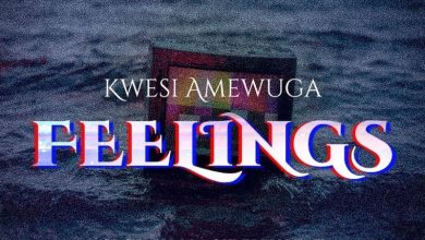 Kwesi Amewuga - Feelings (New Song)