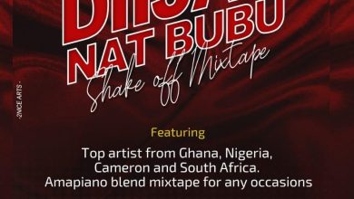 Diijay Nat Bubu - Shake Off Mixtape Vol 1 (DJ Mix)