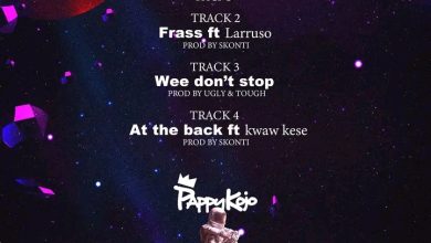 Pappy Kojo Nothing Matters Full EP