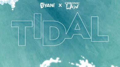 D'Yani, Chronic - Tidal