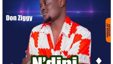 Don Ziggy - Ndini