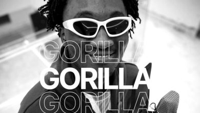 Ricch Kid - Gorilla
