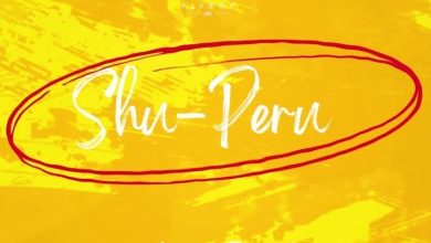 Kizz Daniel - Shu-Peru