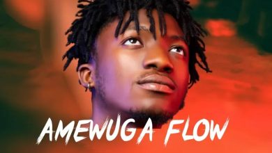 DJ Donzy - Kwesi Amewuga Flow Mix
