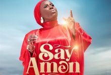 Diana Hamilton - Say Amen