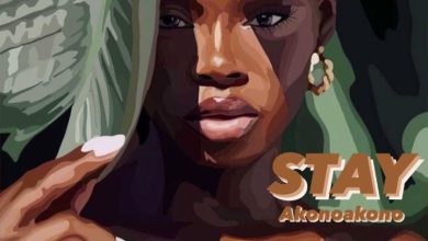 Kawabanga - Stay Akonoakono ft Kojo Trilla & Medusa