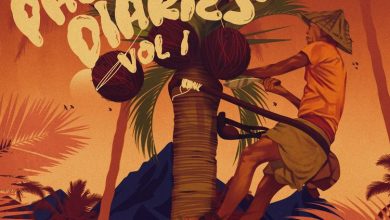 Juls - Palmwine Diaries Vol.1