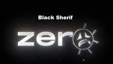 Black Sherif - Zero