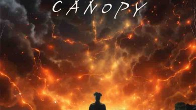 Kuami Eugene - Canopy (Official Audio)