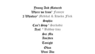 Yaw Tog - Young & Matured Album