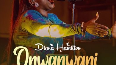 Diana Hamilton - Onwanwani (Wonder Working God) Live