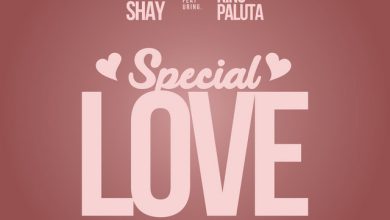 Wendy Shay - Special Love Ft. King Paluta