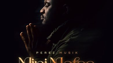 Perez Musik - Mini Mafee (What Will I Do)