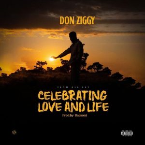 Don Ziggy - CLL (Celebrating Love And Life)