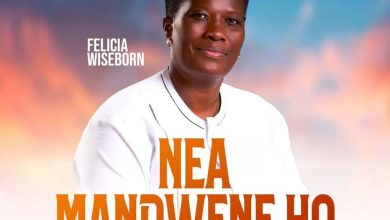 Felicia Wiseborn - Nea Mandwene Ho
