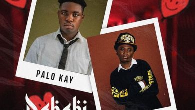 Palo Kay - Dababi Ft. Cojo Rae