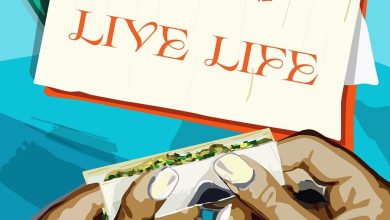 Sean Lifer - Live Life Ft. Kawabanga