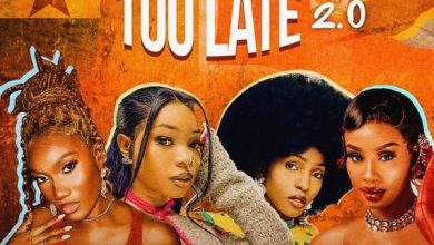 Wendy Shay - Too Late (Remix) 2.0 Ft. Guchi