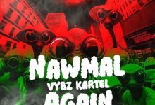Vybz Kartel - Nawmal Again
