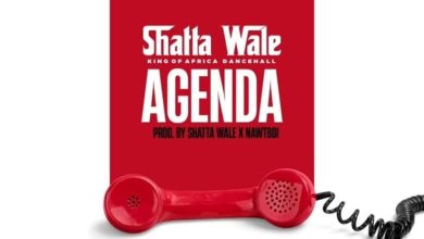 Shatta Wale - Agenda